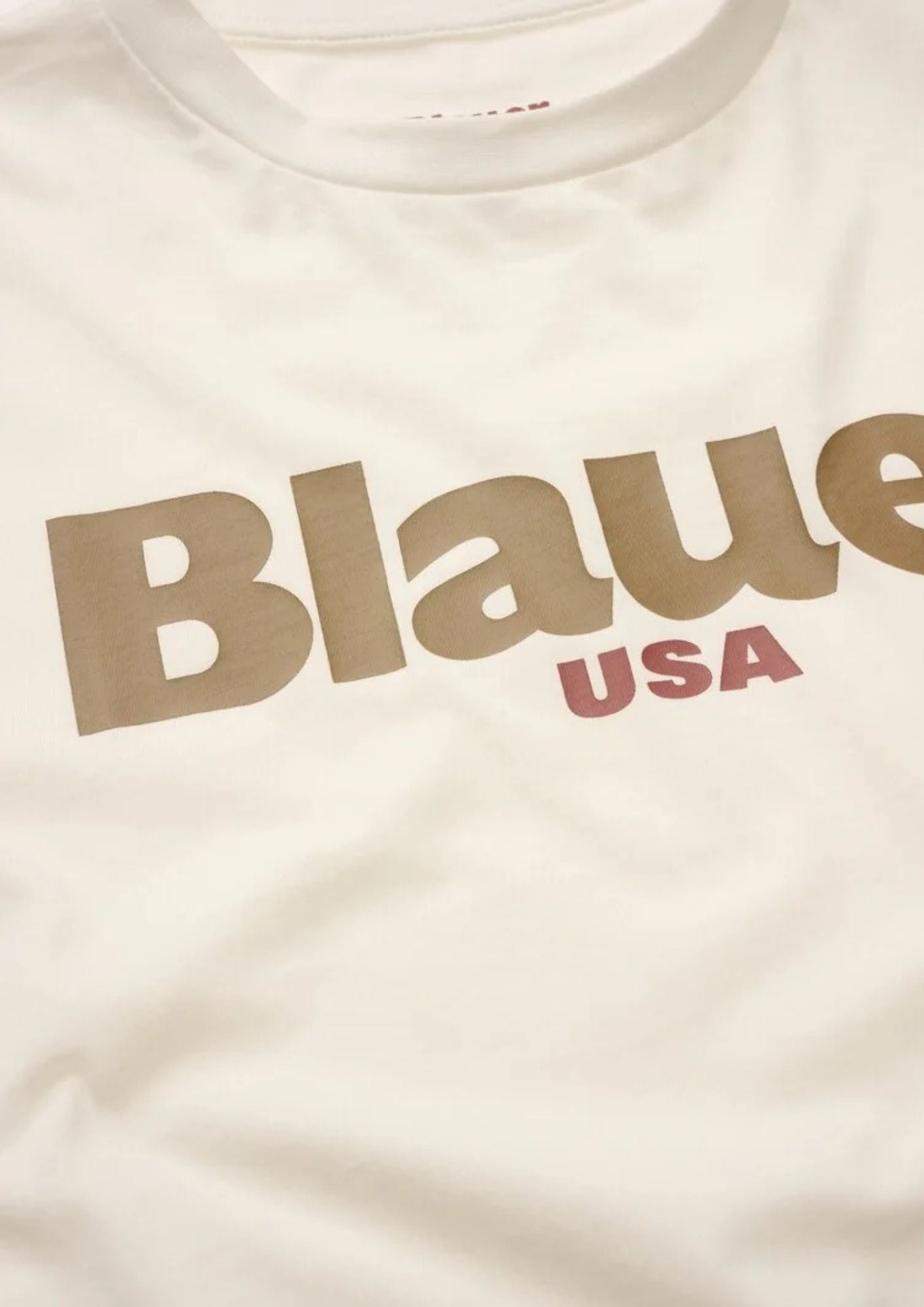 Blauer T-Shirt Uomo Ernst Bianco Neve BLUH02299 7439 102 BLAUER