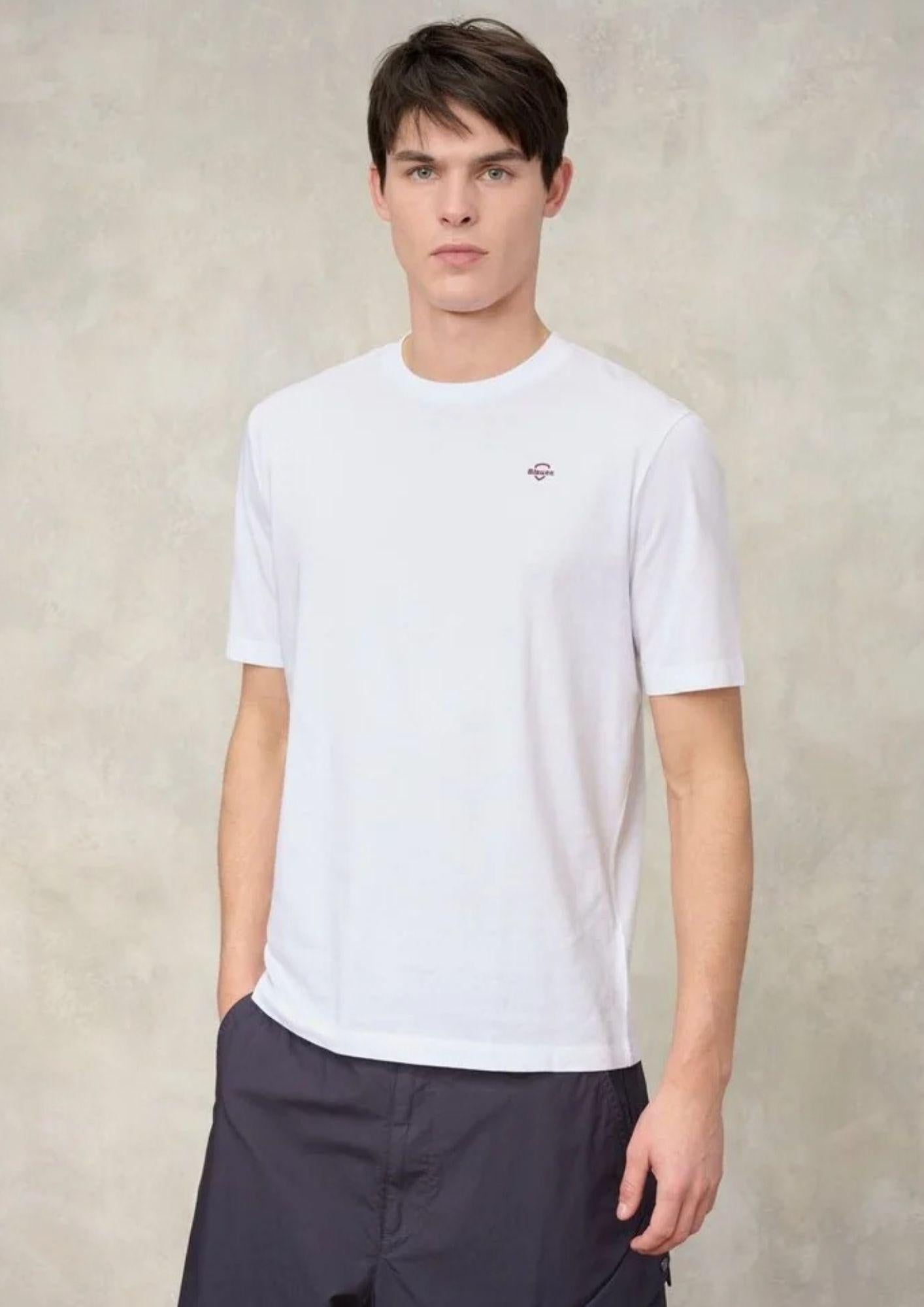 BLUH02300 7439 100 BLAUER