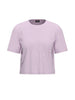 Addirsi Women's Purple T-shirt