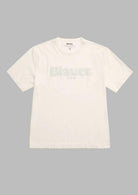  BLUH02287 7480 100 BLAUER 