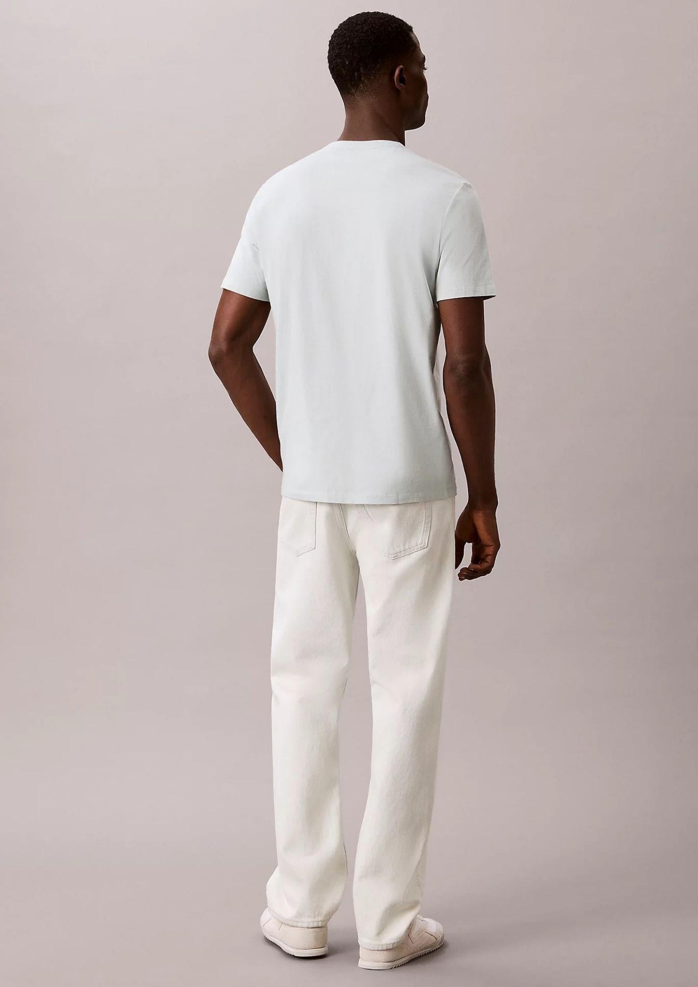 Calvin Klein T-Shirt Uomo Azzurro Polvere LV04RB866G 3Q0 CALVIN KLEIN 